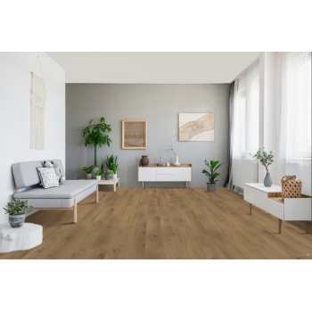 1593797 DĄB HORIZON /BASIC 400/ AC4